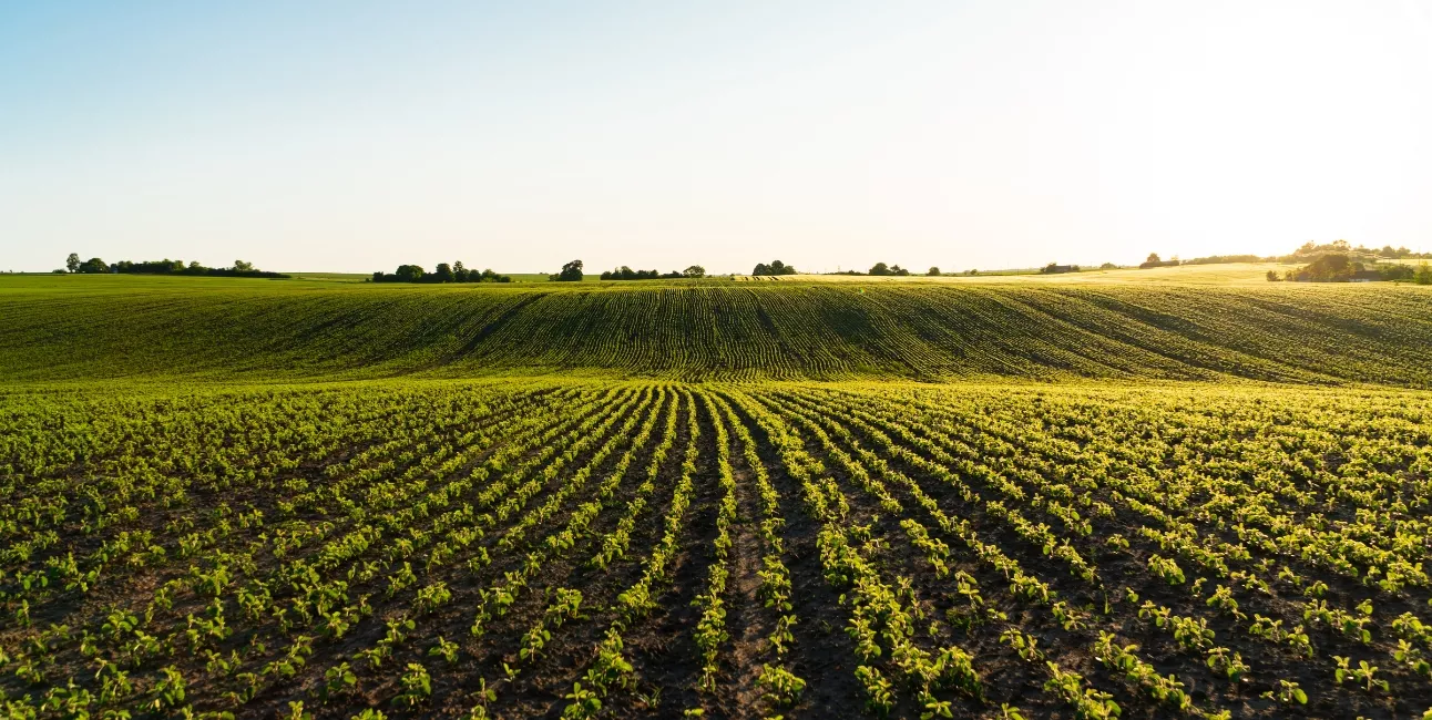 Agricultura sostenible