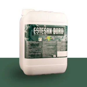 Estesan Boro