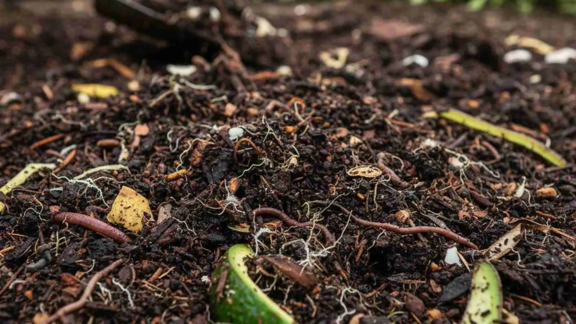 El papel del abono ecológico en la agricultura moderna y sostenible